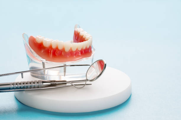 Professional Holistic Dental Care Services in Hallam, PA